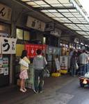 KIKU0706.jpg