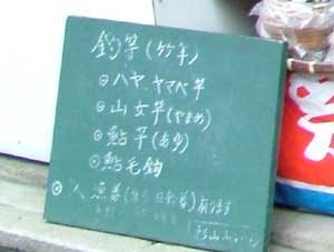 kokubann056.jpg