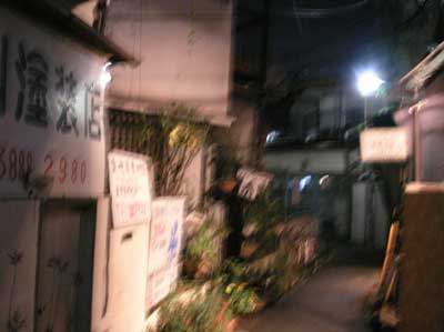 tugeyosiharu.jpg